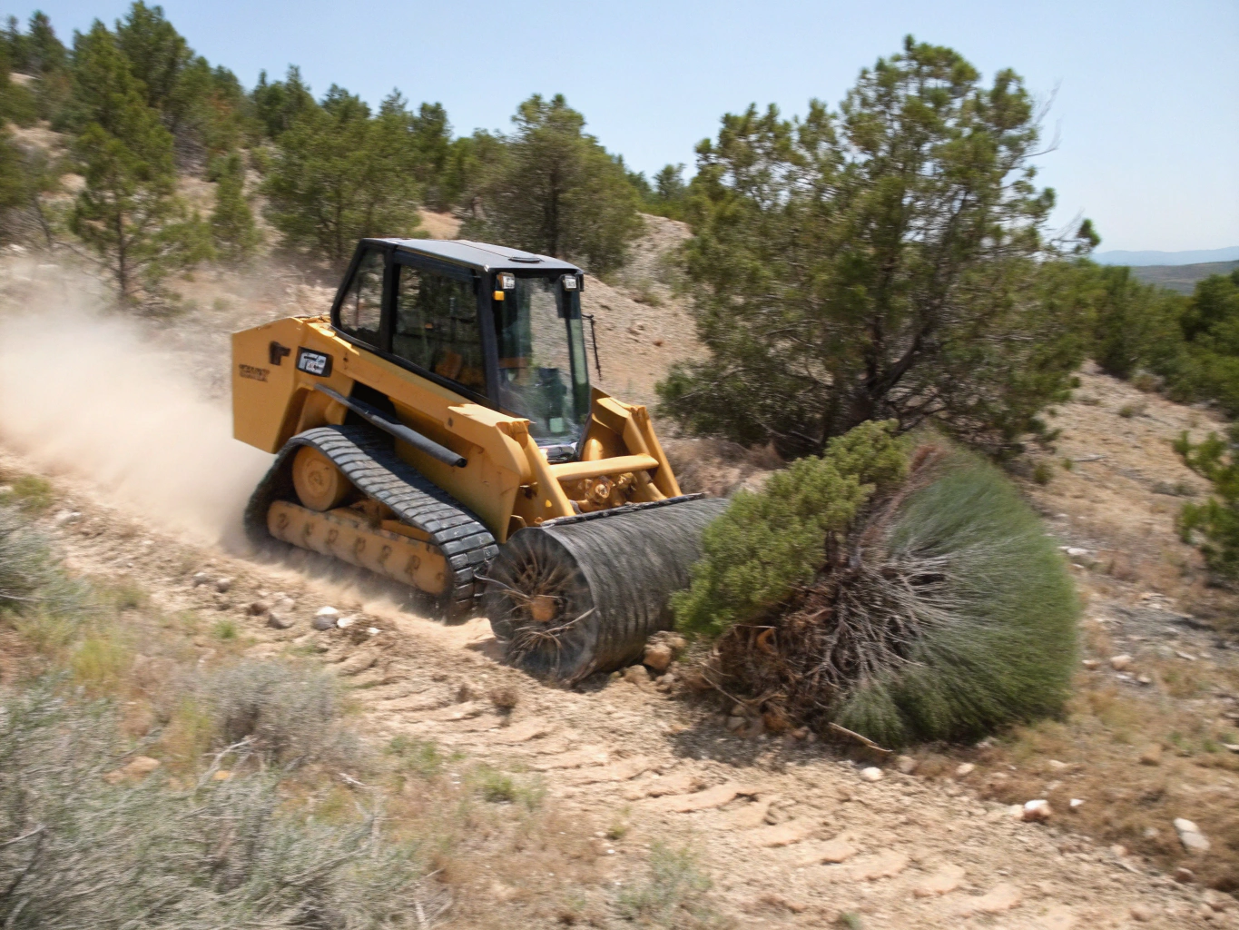 Skid steer clearing overgrown brush from a property